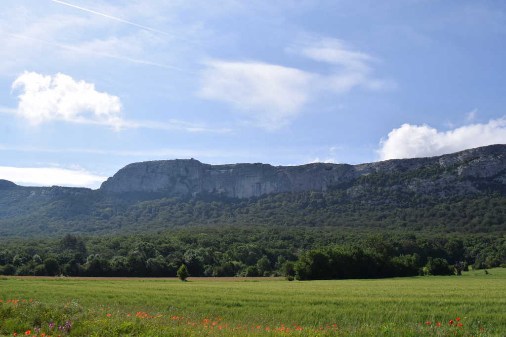 Parc naturel régional de la Sainte-Baume