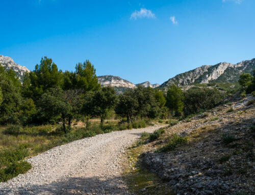 Second comité de pilotage pour le Plan Intercommunal de Débroussaillement et d’Aménagement Forestier (PIDAF)