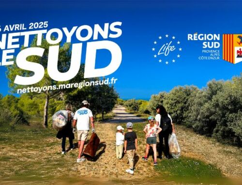 Nettoyons le Sud : retrouvez les événements sur le territoire
