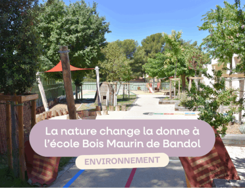Environnement : la nature change la donne à l’école Bois Maurin