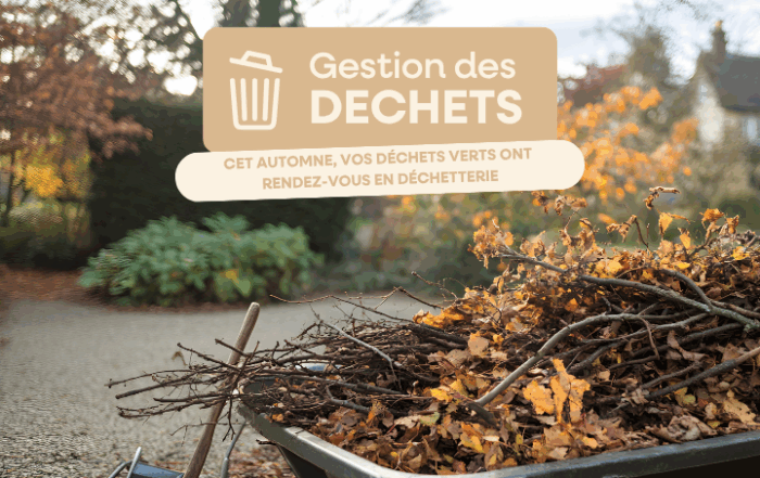 Que faire de vos déchets verts en automne ?