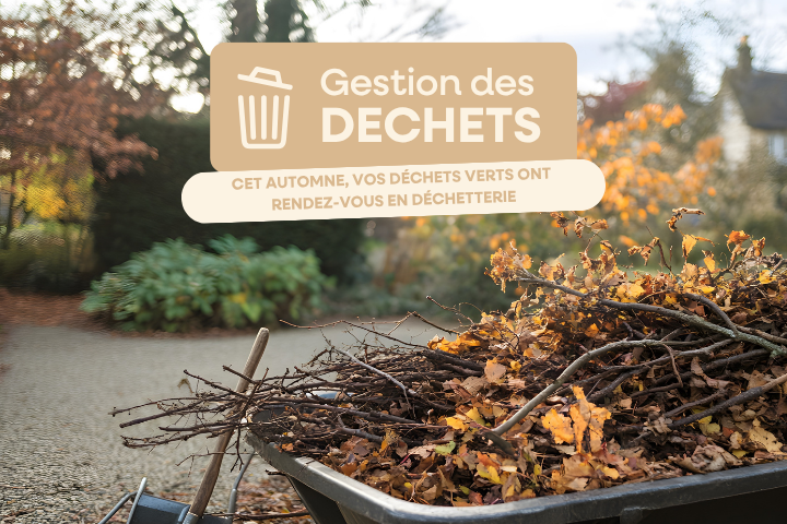 Que faire de vos déchets verts en automne ?