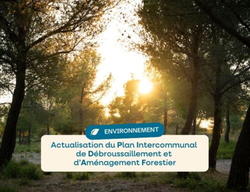 Actualisation et approbation du PIDAF