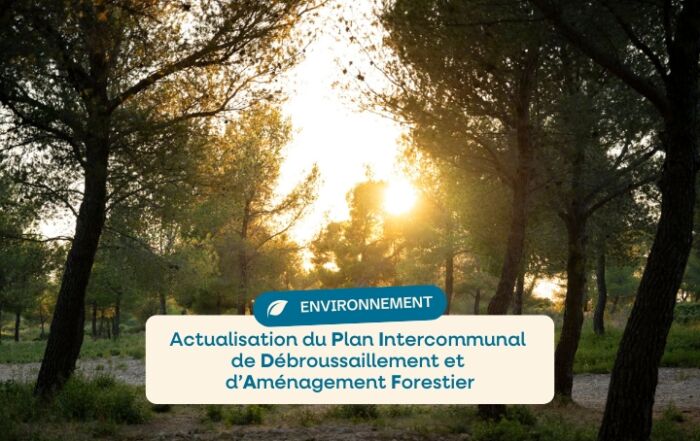 Plan Intercommunal de Débroussaillement et d'Aménagement Forestier