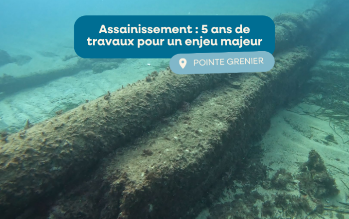 travaux de l'émissaire de la Pointe Grenier