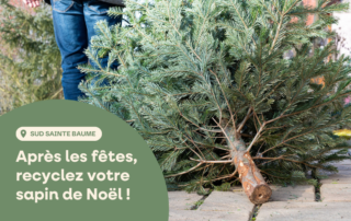 Collecte des sapins