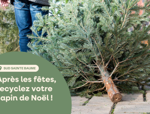 Après les fêtes, recyclez votre sapin de Noël !
