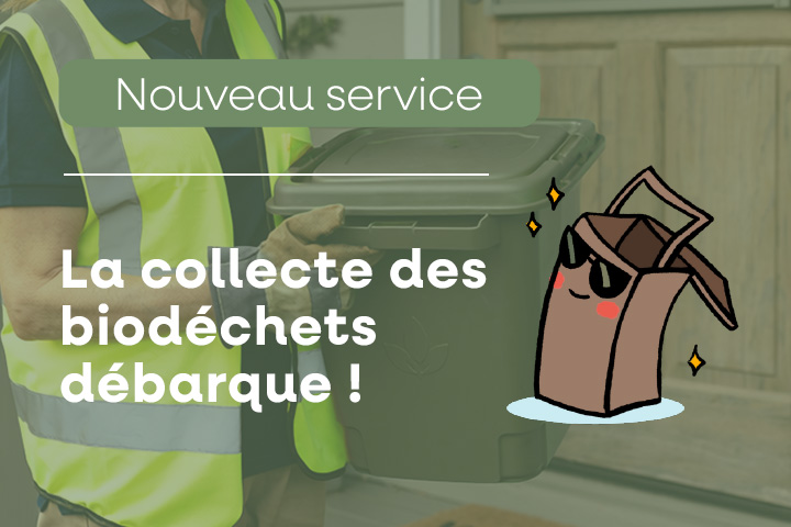 collecte des biodéchets