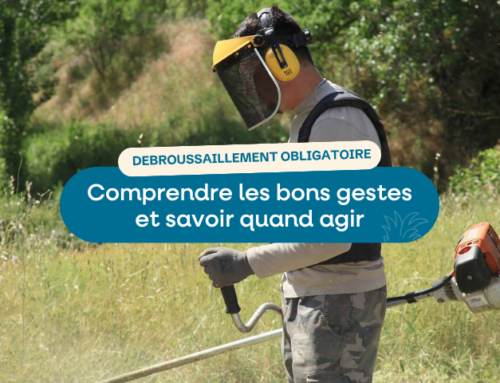 Obligations légales de débroussaillement : quand agir ?