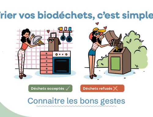 Découvrir les bons gestes à adopter pour bien valoriser ses biodéchets