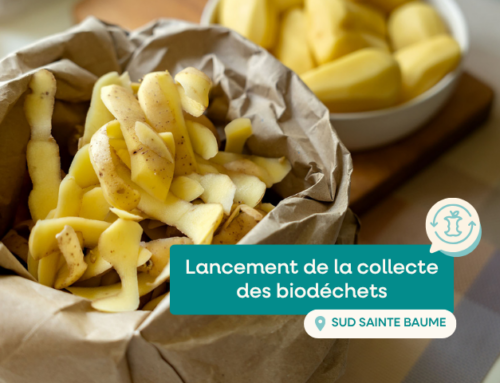 Lancement de la collecte des biodéchets sur le territoire