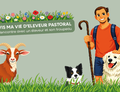 [Complet] Une après-midi pour rencontrer un éleveur et son troupeau