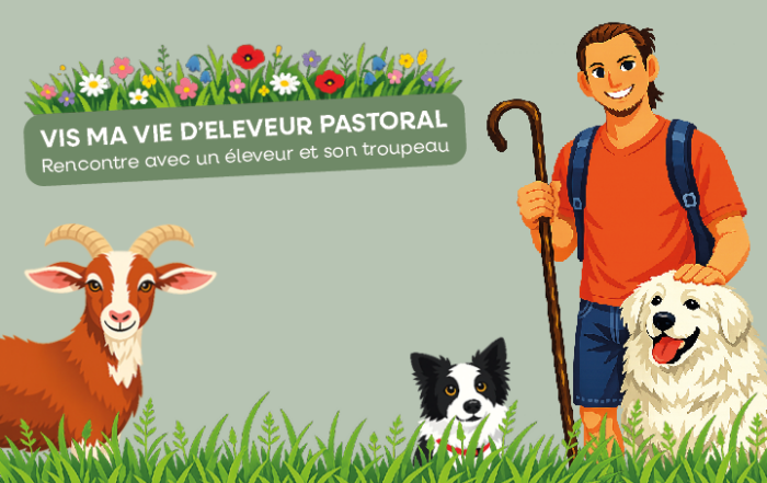 actu internet vis ma vie d'éleveur pastoral 1