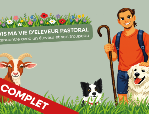 [Complet] Une après-midi pour rencontrer un éleveur et son troupeau