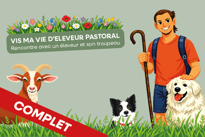 actu internet vis ma vie d'éleveur pastoral complet