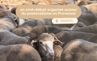 cine debat autour du pastoralisme