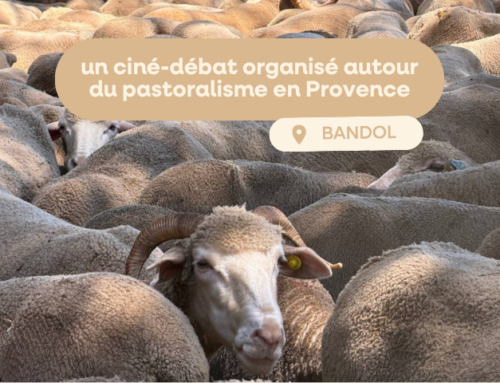 Participez au ciné-débat : Regards croisés sur le pastoralisme en Provence