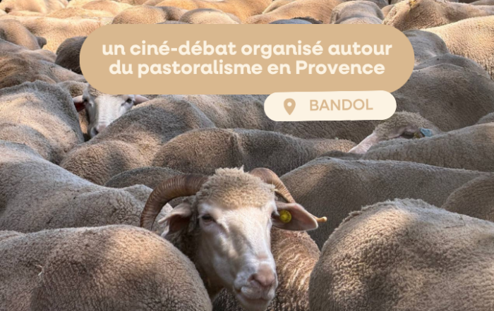 cine debat autour du pastoralisme