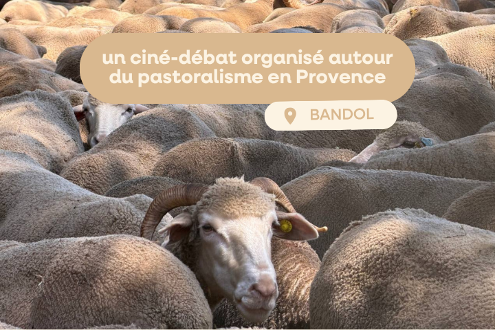 cine debat autour du pastoralisme