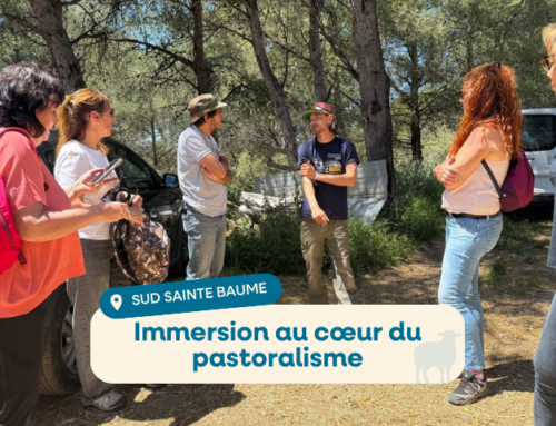 Immersion au cœur du pastoralisme pour les offices du tourisme