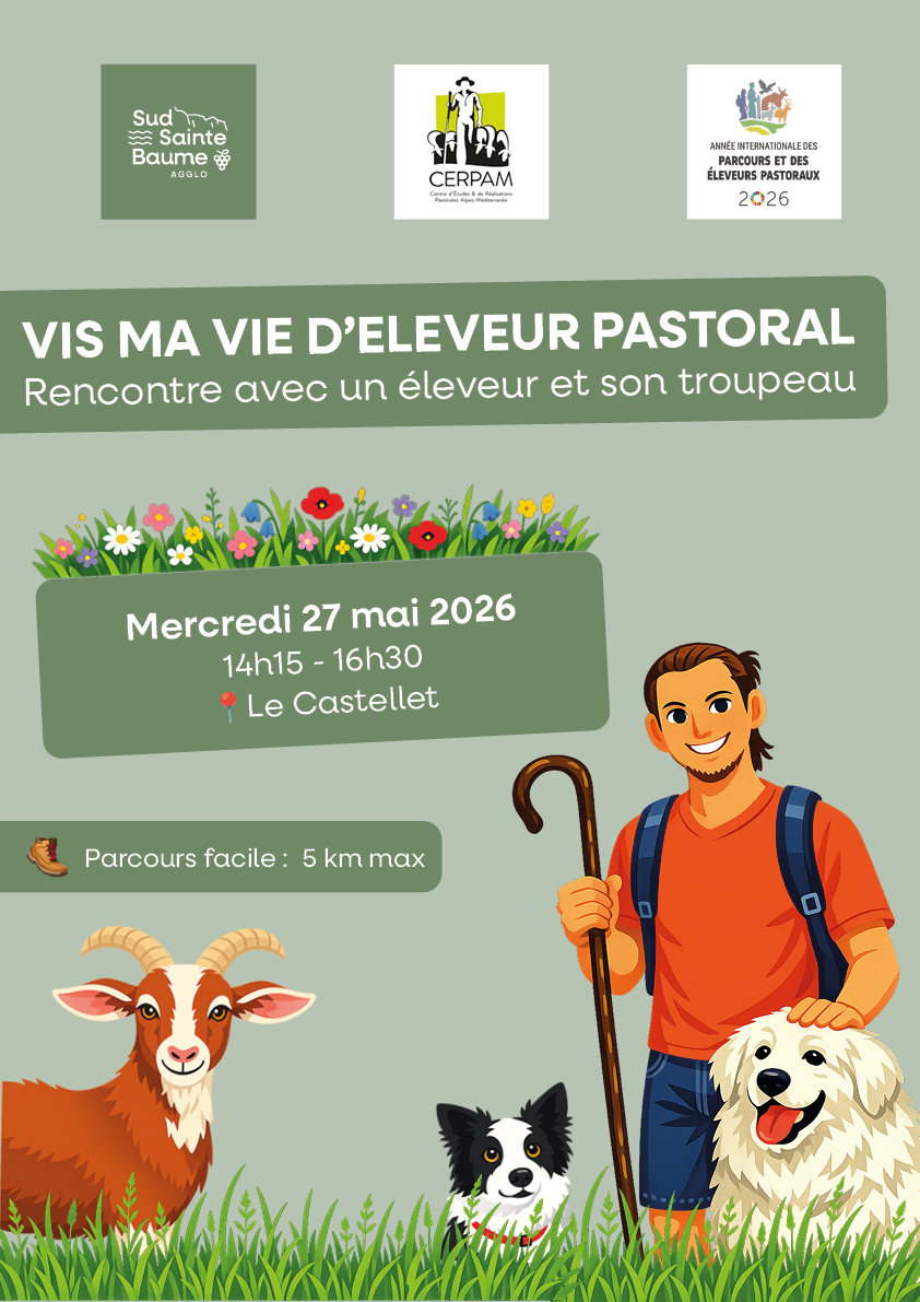 image (5)