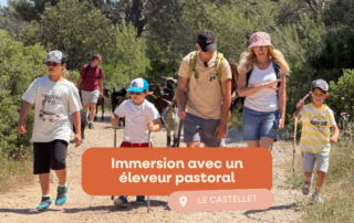 immersion avec un éleveur pastoral au castellet
