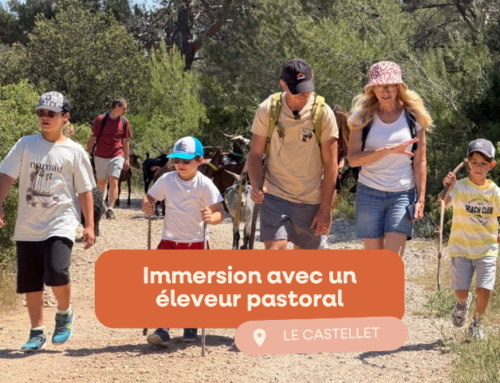 Immersion au Castellet avec un éleveur pastoral