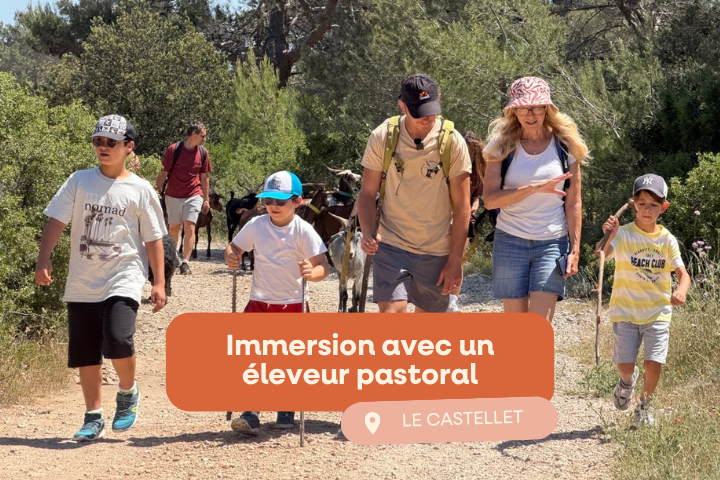 immersion avec un éleveur pastoral au castellet