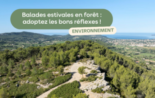 balades en foret bons reflexes