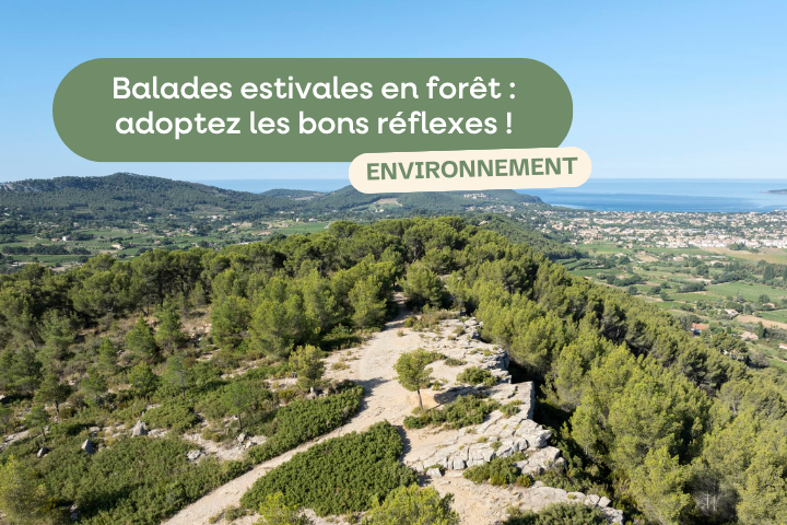 balades en foret bons reflexes