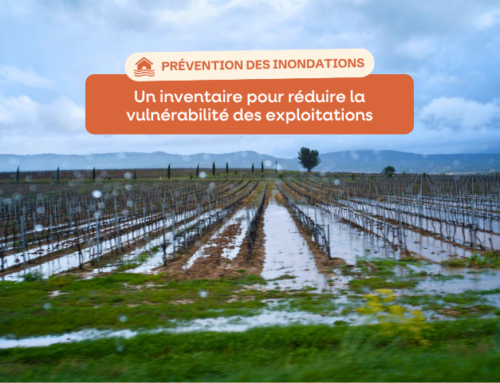 Prévention des inondations : un inventaire pour réduire la vulnérabilité des exploitations