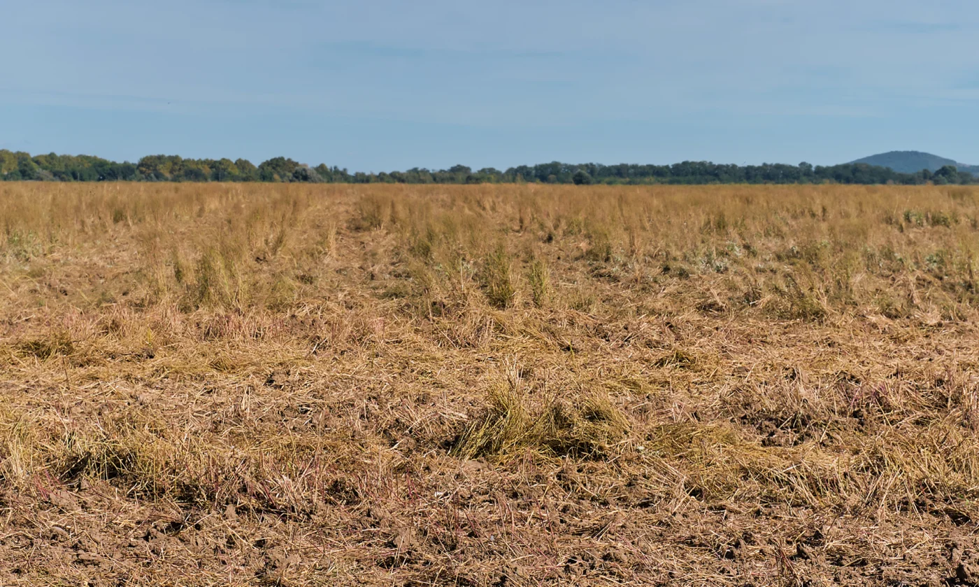 exploitations agricoles fragilisées exploitations agricoles fragilisées suite aux vagues de chaleur