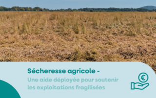 secheresse aide plan casu agricole