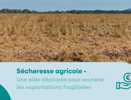Plan CASI : une aide pour soutenir les exploitations agricoles