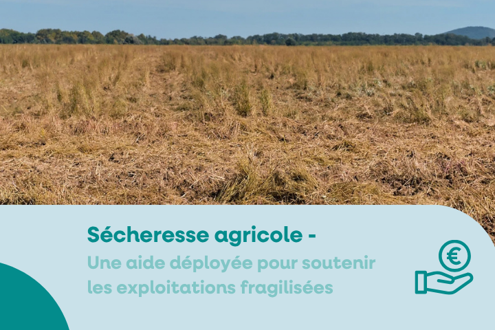 secheresse aide plan casu agricole