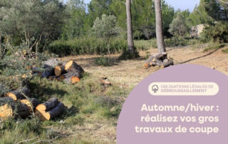 Débroussaillement en automne