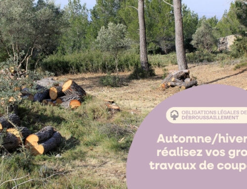Débroussaillement : c&rsquo;est le bon moment !