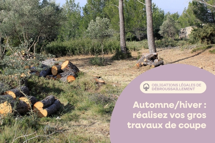 Débroussaillement en automne