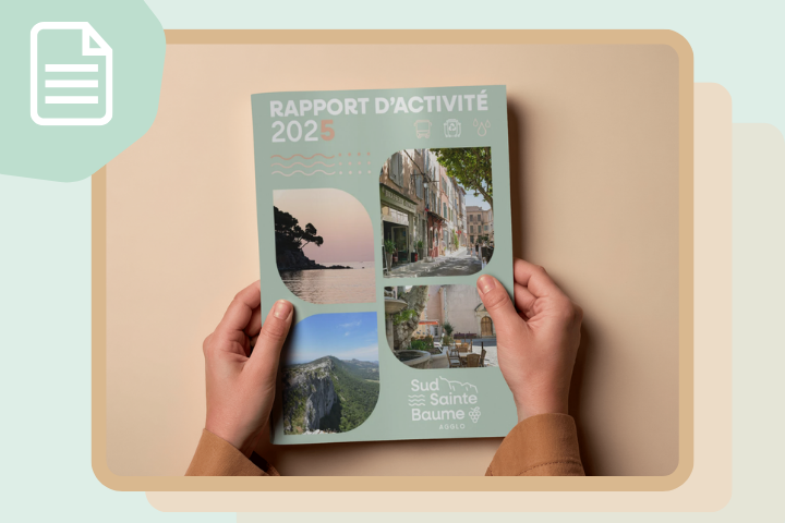 rapport d'activités 2025